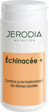 ECHINACEE + ECHINACEE +